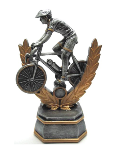 cod. P.CI06 - Trofeo Ciclo cm 31