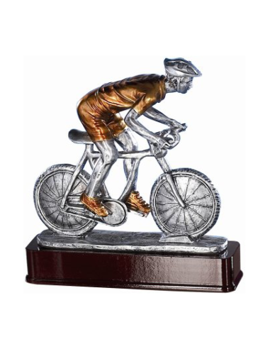 cod. P.CI07 - Trofeo Ciclo cm 19