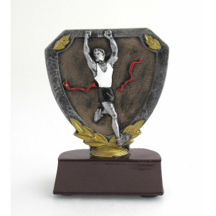 cod. P.CO08 - Trofeo Corsa cm 12