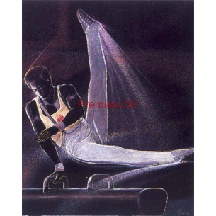 cod. P.GI13 - Cornice con Poster Ginnastica 24x18