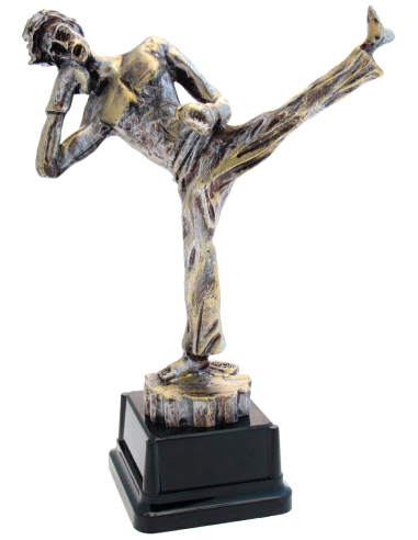 cod. P.KB01 - Trofeo Kick Boxing cm 27