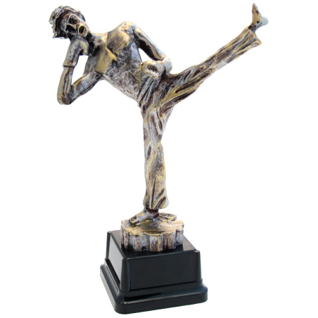 cod. P.KB01 - Trofeo Kick Boxing cm 27