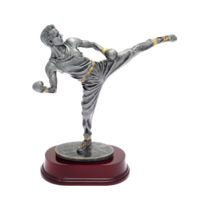cod. P.KB02 - Trofeo Kick Boxing cm 24