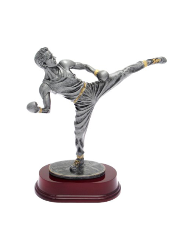 cod. P.KB02 - Trofeo Kick Boxing cm 24