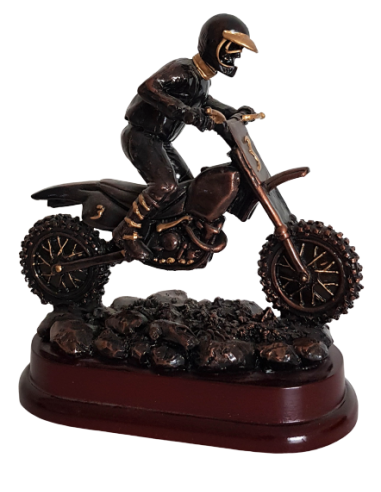 cod. P.MOT17.317 - Trofeo Motocross cm 18