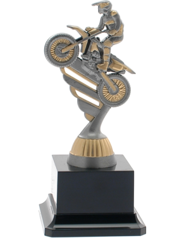 cod. P.MOT17.320A - Trofeo motocross cm 18