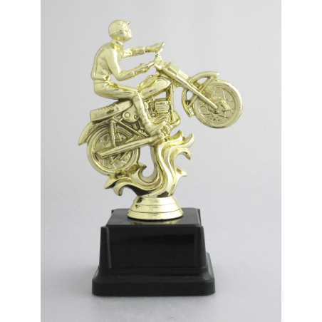 cod. P.MOTC03 - Trofeo Motocross cm 20