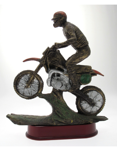 cod. P.MOTC05 - Trofeo Motocross cm 42