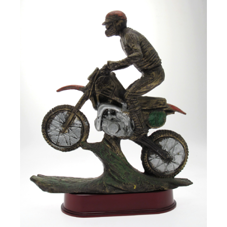 cod. P.MOTC05 - Trofeo Motocross cm 42