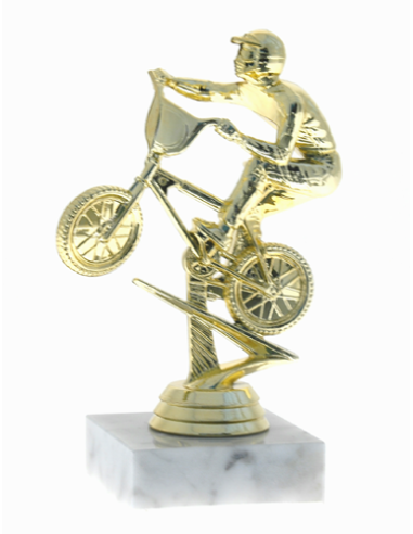 cod. P.MOTC06 - Trofeo Motocross cm 14