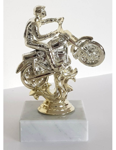 cod. P.MOTC09 - Trofeo Motocross cm 12