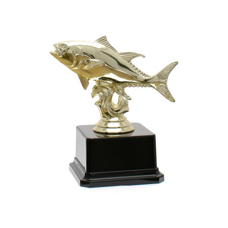 cod. P.PE17.337B - Trofeo pesca cm 13
