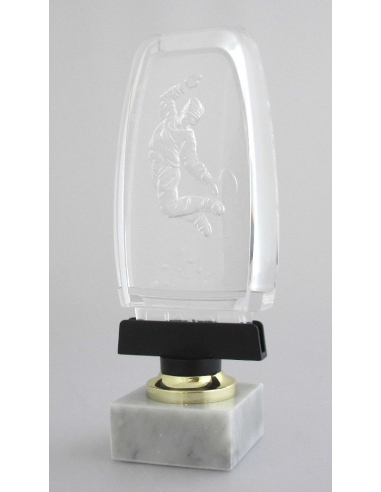 cod. P.SN01 - Trofeo Snowboard cm 21