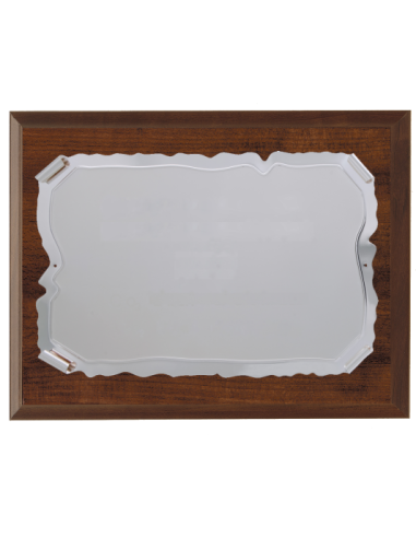 cod. P.TA20.628 - Targa con legno 30