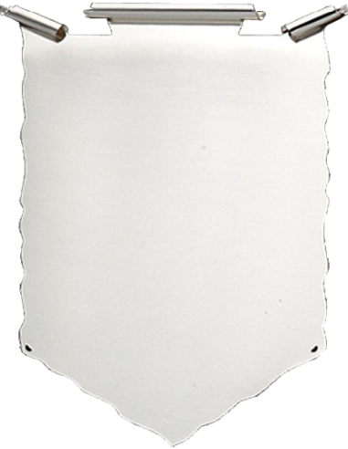 cod. P.TAQ20.461 - Targa silver cm 27x21