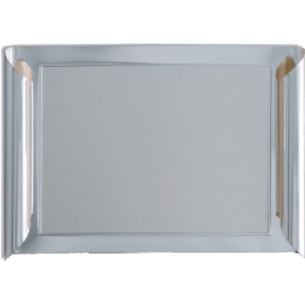 cod. P.TAQ20.465 - Targa silver 25x18