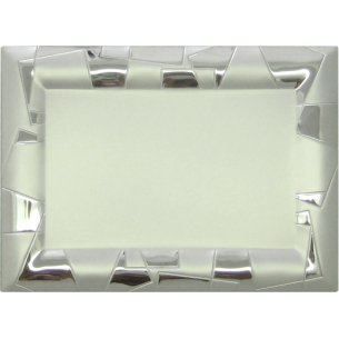 cod. P.TAQ20.602 - Targa silver cm 19