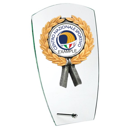 cod. P.TRC25.655 - Trofeo targa cristallo cm 15