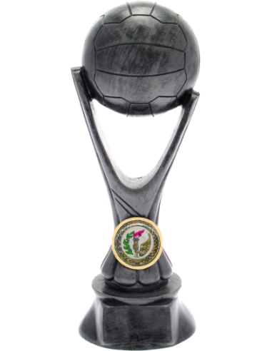 cod. P.VO18.352A - Trofeo volley cm 20