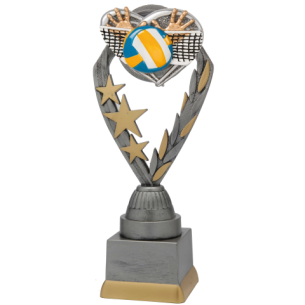 cod. P.VO18.354A - Trofeo volley cm 22