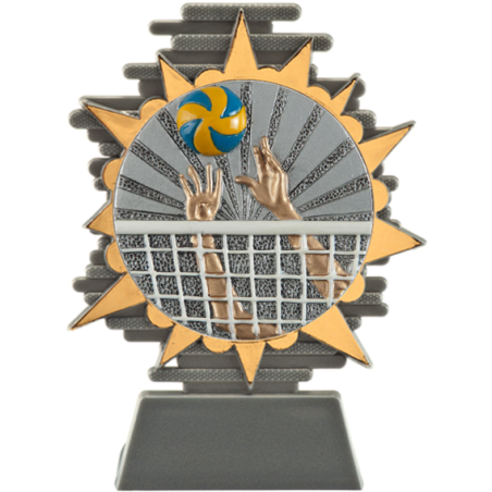 cod. P.VO25.800.22 - Trofeo pallavolo cm 14