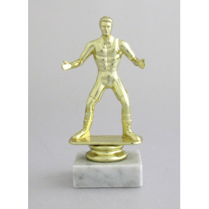 cod. P.WR01 - Trofeo Wrestling cm 14