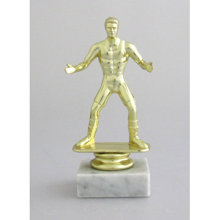 cod. P.WR01 - Trofeo Wrestling cm 14