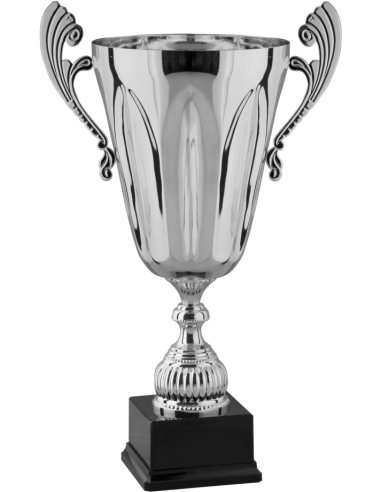 cod. P1.013 - Trofeo cm 48 ø 20