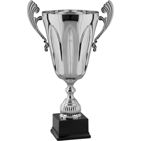 cod. P1.013 - Trofeo cm 48 ø 20