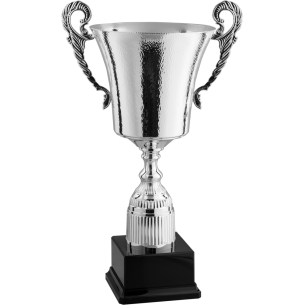 cod. P1.361 - Trofeo con manici cm 54 ø 22
