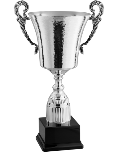 cod. P1.361 - Trofeo con manici cm 54 ø 22