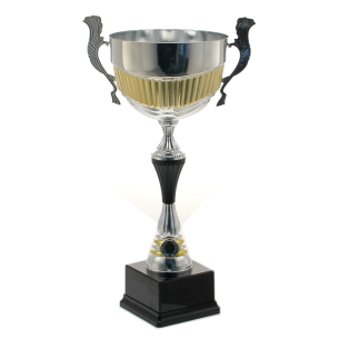 cod. P141.6364 - Trofeo con manici cm 32 ø 12