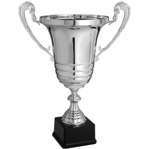 cod. P181.153 - Trofeo con manici cm 43 ø 20