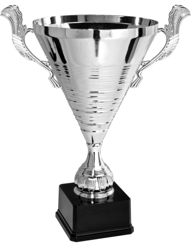 cod. P183.131 - Trofeo con manici cm 51 ø 26
