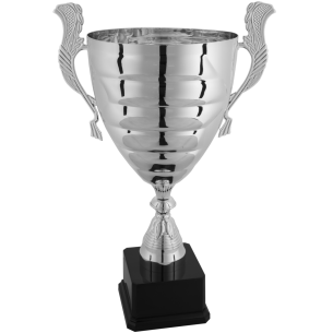 cod. P187.5271 - Trofeo con manici cm 46 ø 20