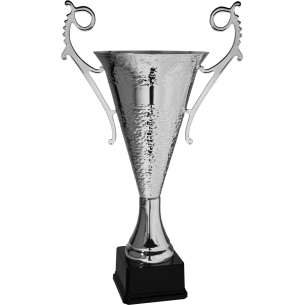 cod. P189.1212 - Trofeo con manici cm 64 ø 25
