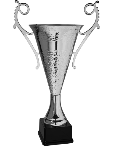 cod. P189.1212 - Trofeo con manici cm 64 ø 25