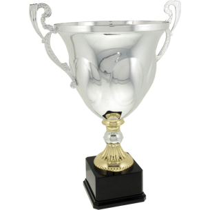 cod. P202.522 - Trofeo con manici cm 43 ø 24