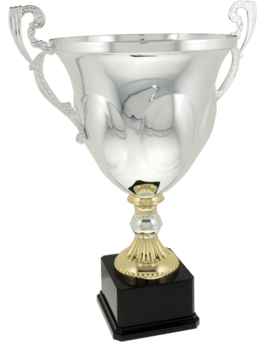 cod. P202.522 - Trofeo con manici cm 43 ø 24