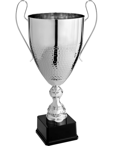 cod. P203.123 - Trofeo con manici cm 53 ø 20