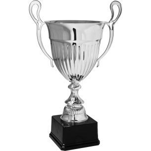 cod. P210.6342 - Trofeo con manici cm 47 ø 20