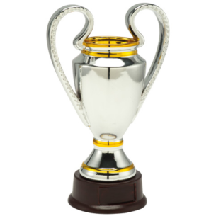 cod. P239.833 - Trofeo ceramica cm 26 ø 10