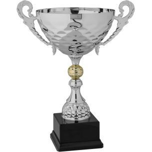 cod. P279.3041 - Trofeo con manici cm 45 ø 24