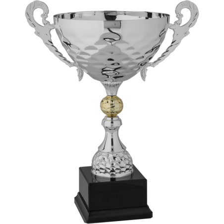 cod. P279.3041 - Trofeo con manici cm 45 ø 24