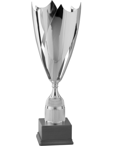 cod. P280.3072 - Trofeo cm 53 Ø 19