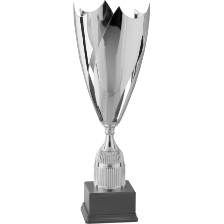 cod. P280.3072 - Trofeo cm 53 Ø 19