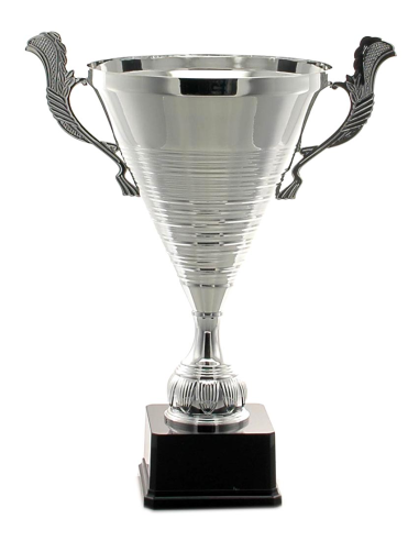 cod. P389.132 - Trofeo con manici cm 46 ø 24