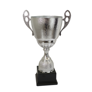Trophy with handles cm 41 - P8486.16