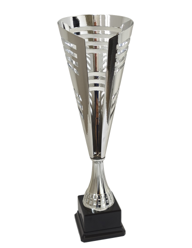 cod. P8525.12 - Trofeo cm 39