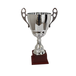 cod. P8487.20 - Trofeo con manici cm 48